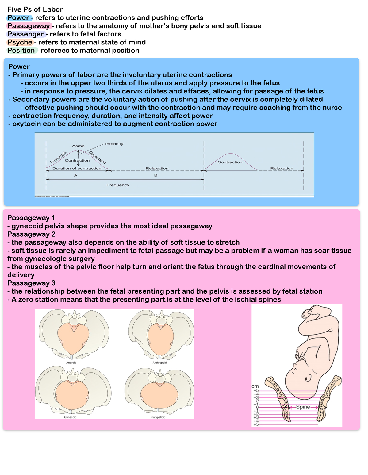 exam-2-labor-and-delivery-five-ps-of-labor-power-refers-to