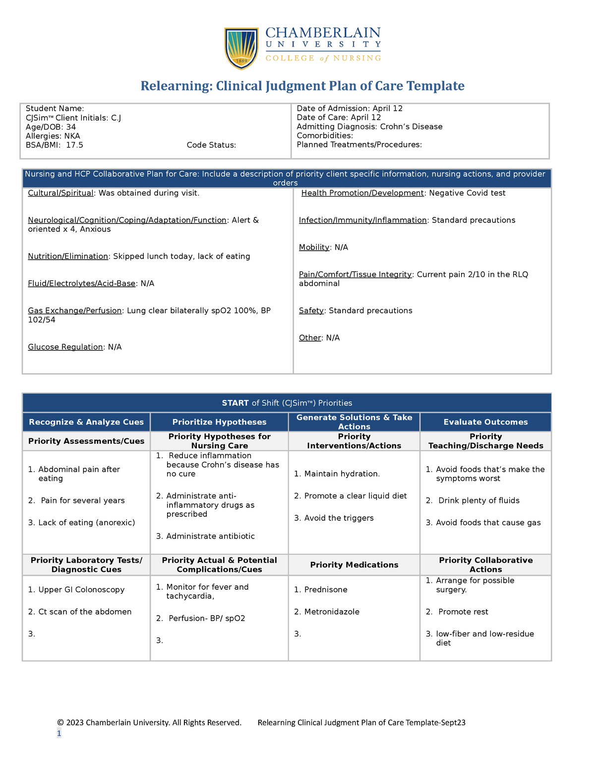 Relearning Clinical Judgment Plan of Care Template Sept23 Student