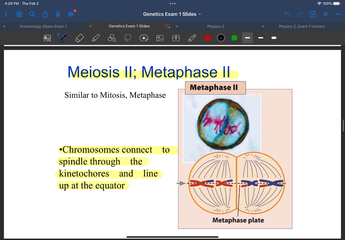 Genetics Lecture Notes - BIOL 3451 - Studocu