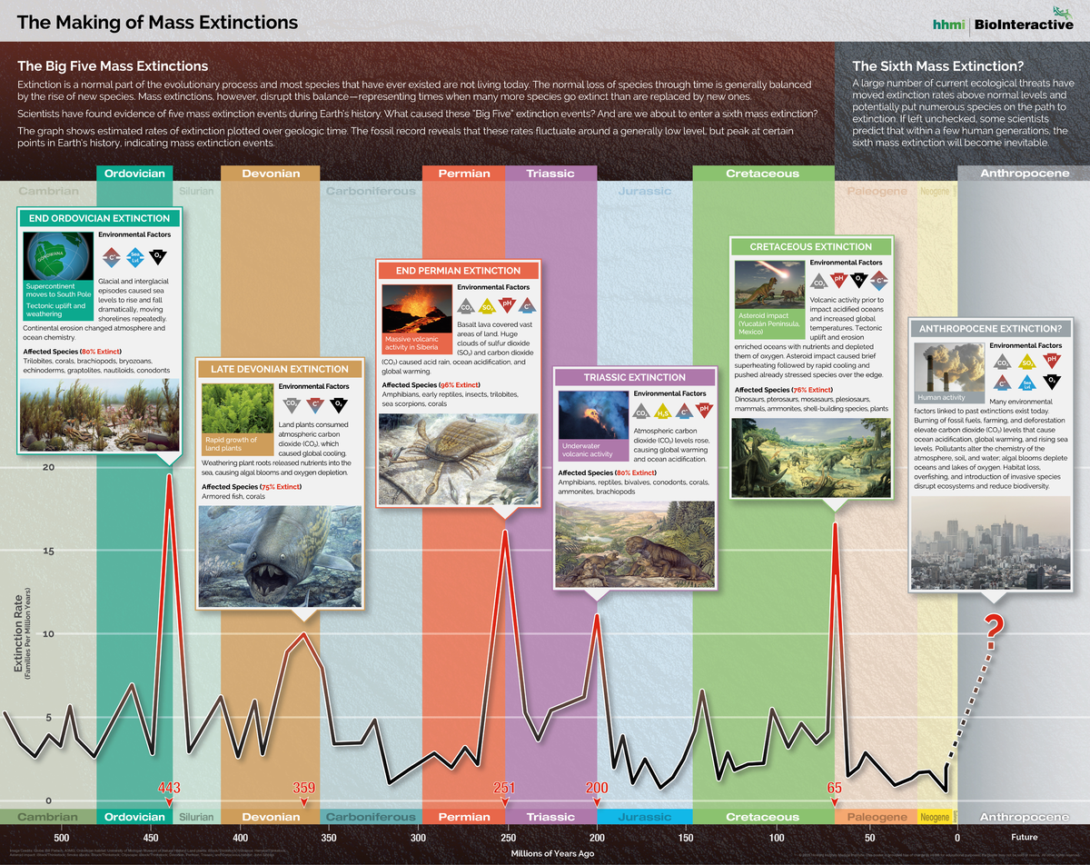 Mass extinctions 2015 poster exticiones masivas pdf - Cambrian ...