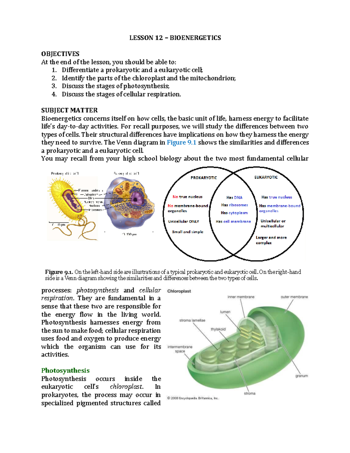 12. Bioenergetics - LESSON 12 – BIOENERGETICS OBJECTIVES At The End Of ...