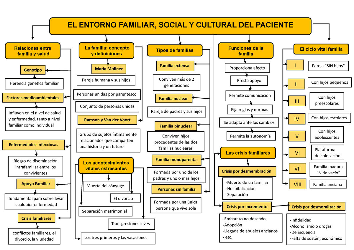 EL Entorno Familiar, Social Y Cultural DEL Pacient 2 - EL ENTORNO ...