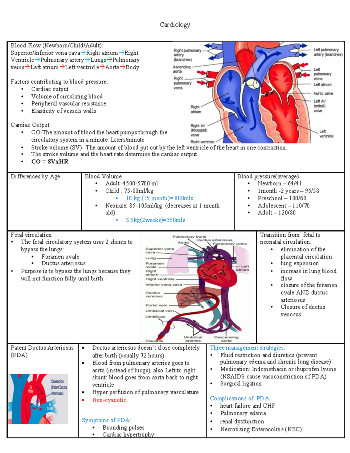 PEDS- pediatric nursing notes. Pediatrics - Blood Flow (Newborn/Child ...