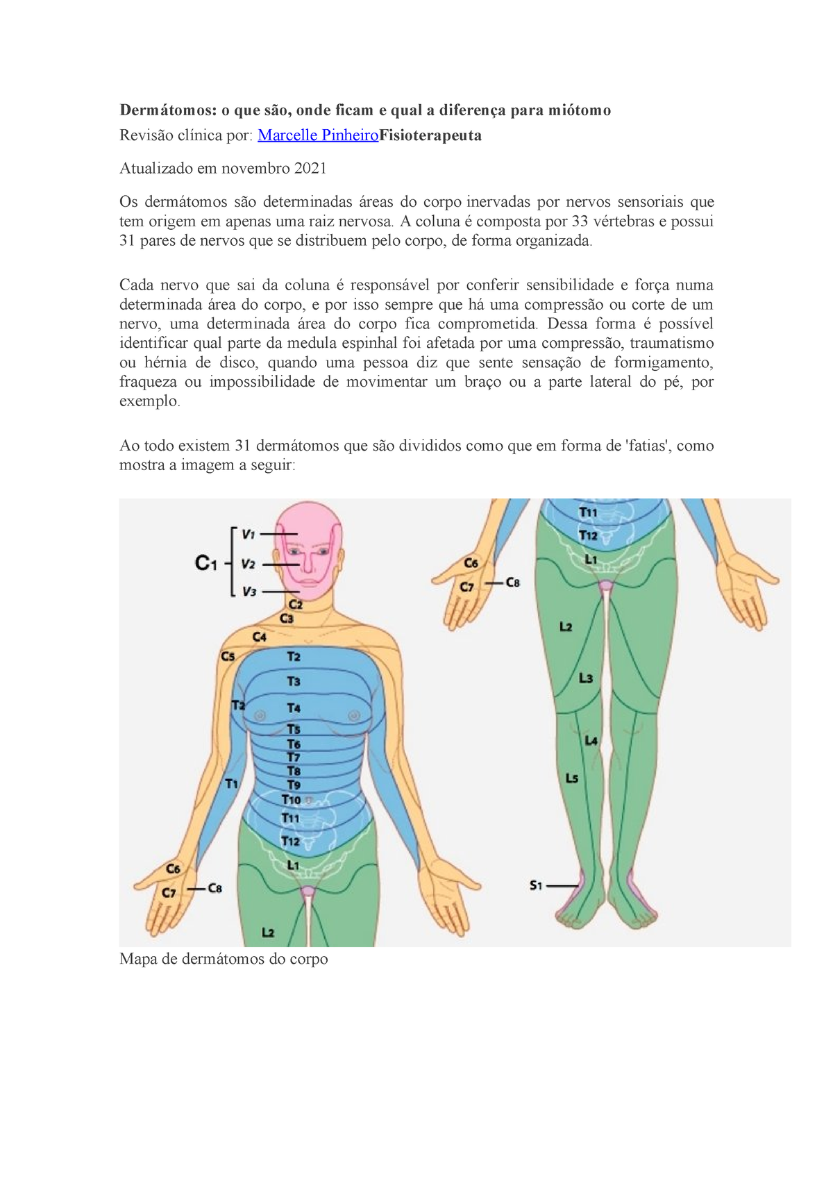 Derm Tomos Dos Membros Inferiores