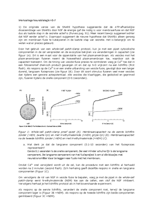 Neurobiologie Hc 1 - Hoofdstuk 1 (Hoorcollege) Neuron Doctrine Neurons ...