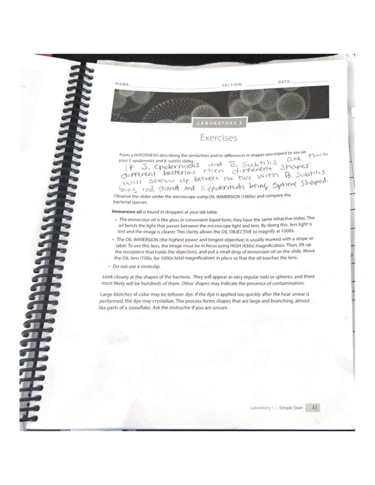 Laboratory 5 lab DATE SECTION LABORATORY 5 Exercises Form a