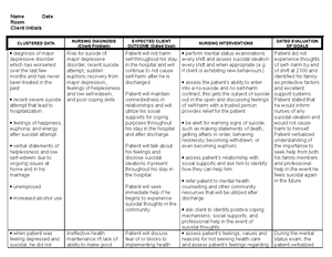 Care Plan - Client care plan on a mental health unit - CLIENT CARE PLAN ...