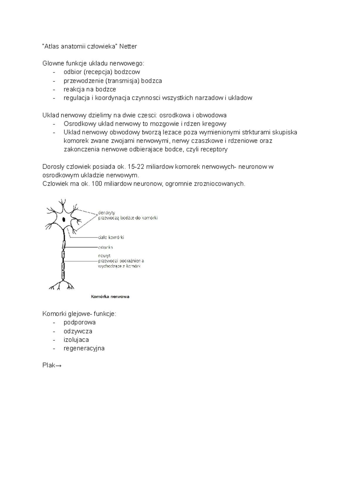 Anatomia i fizjologia układu nerwowego - “Atlas anatomii człowieka