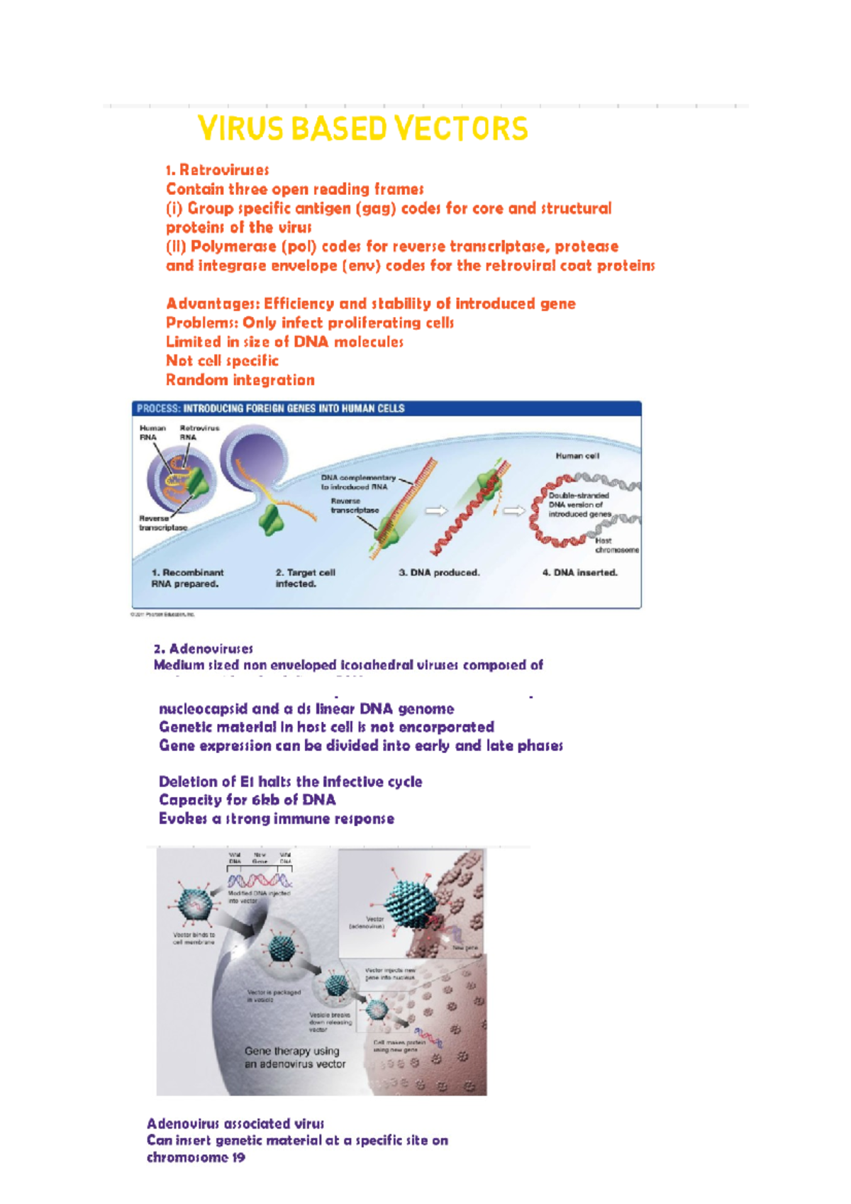 Viral gene therapy vectors VIRUS BASED VECTORS I. Retroviruses