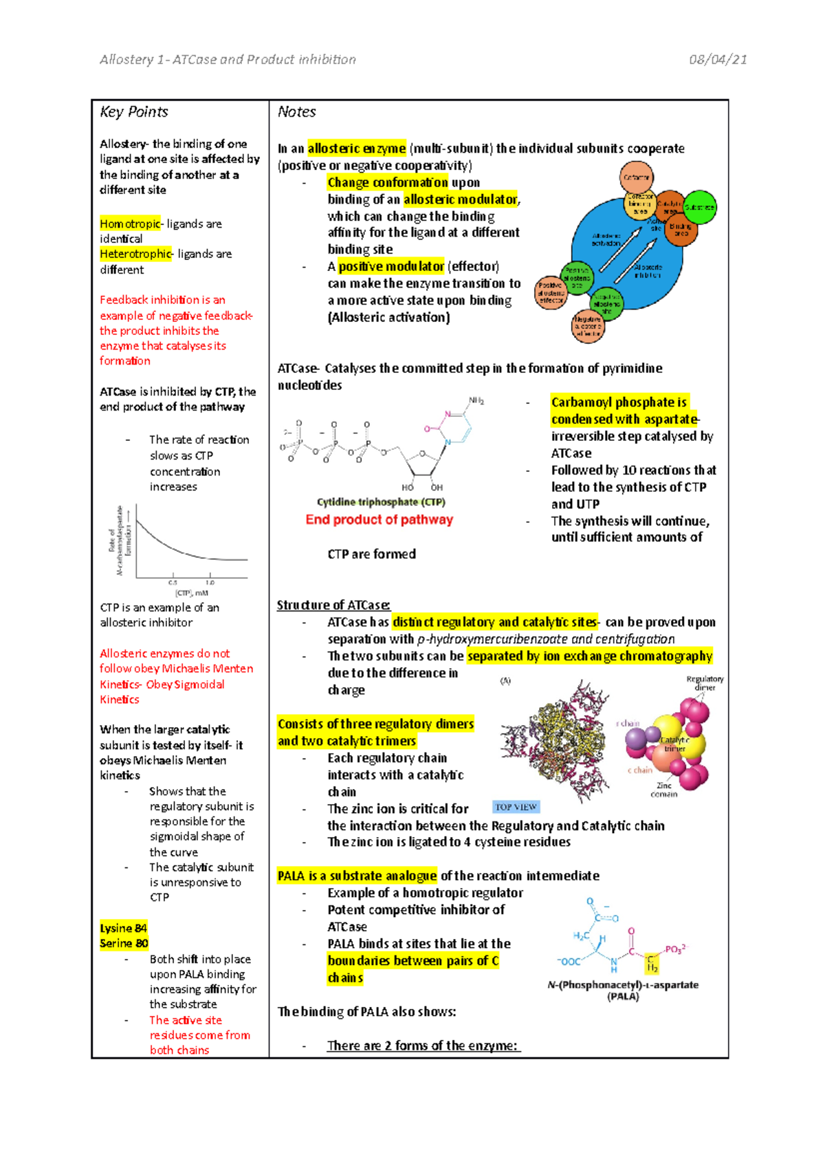 Allostery 1- Feedback Inhibition - Allostery 1- ATCase and Product ...