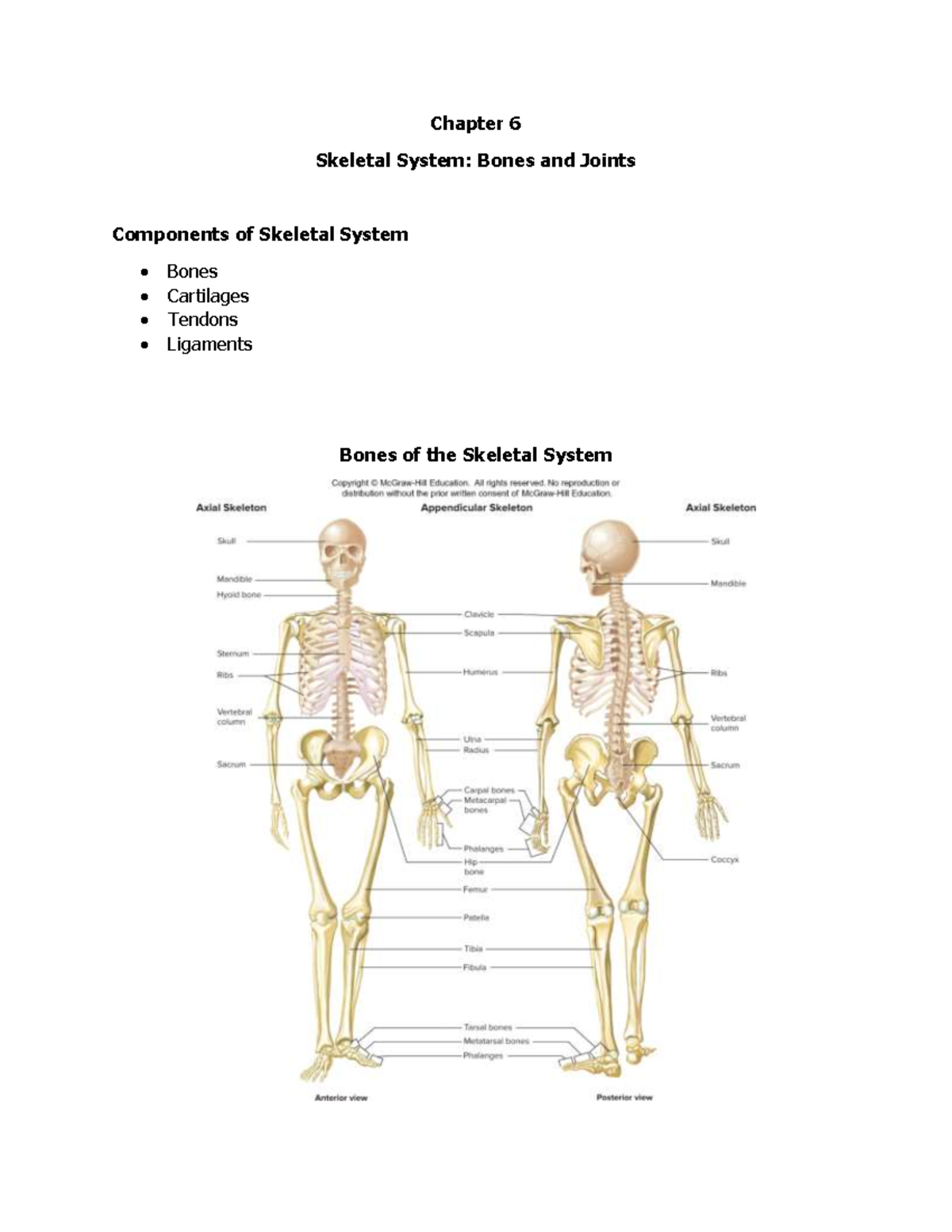 1 - Biology - STEM- Chapter 6 Skeletal System: Bones and Joints ...