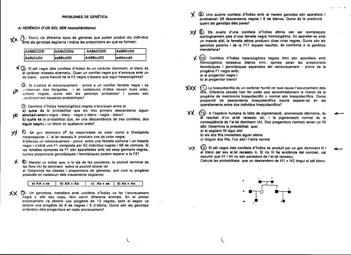 91 Problemas Genetica, 2º Batx - Biología - Studocu