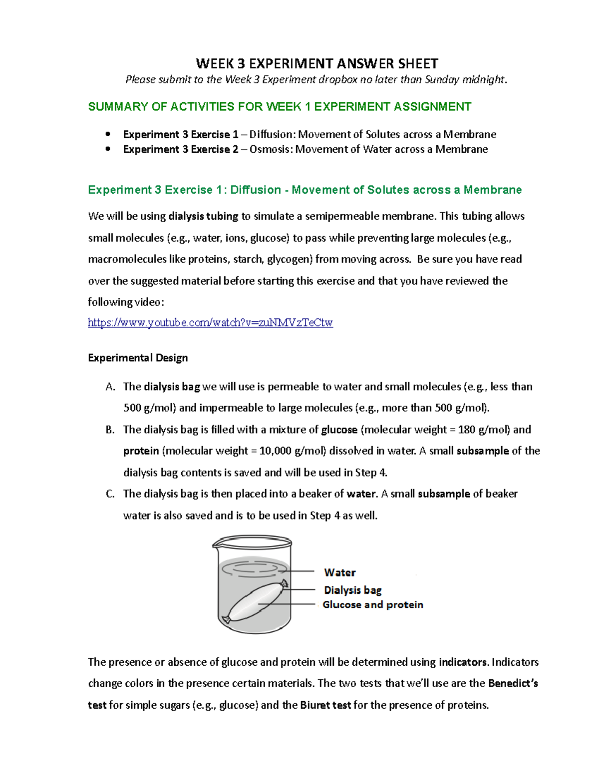 Week 3 Experiment Answer Sheet BI 114 - BI 114 - Studocu