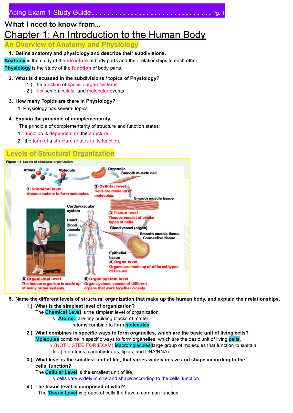 HP 22 Ex 1 Study Guide Ch. 1-3 Modified - What I Need To Know From ...