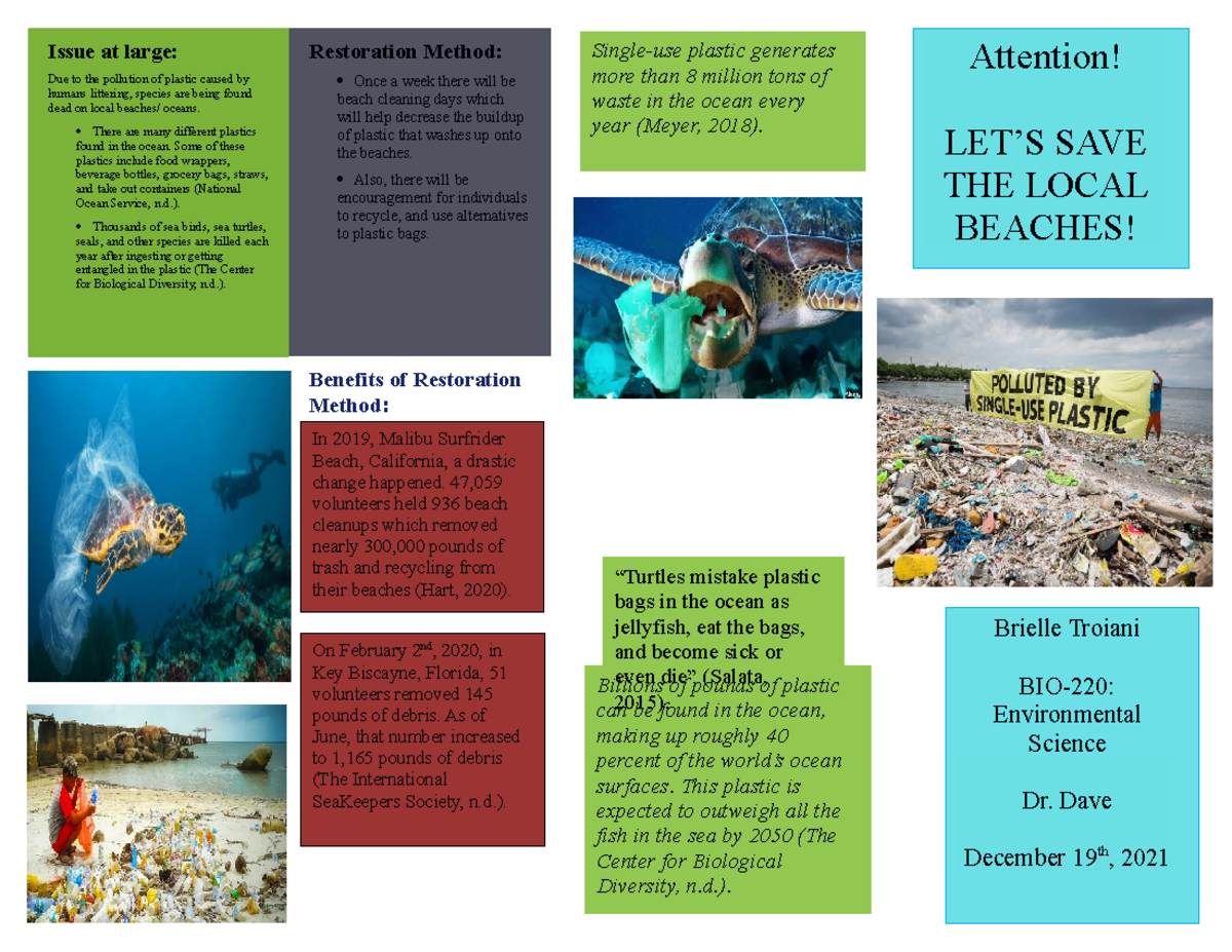 A Guide to Plastic in the Ocean