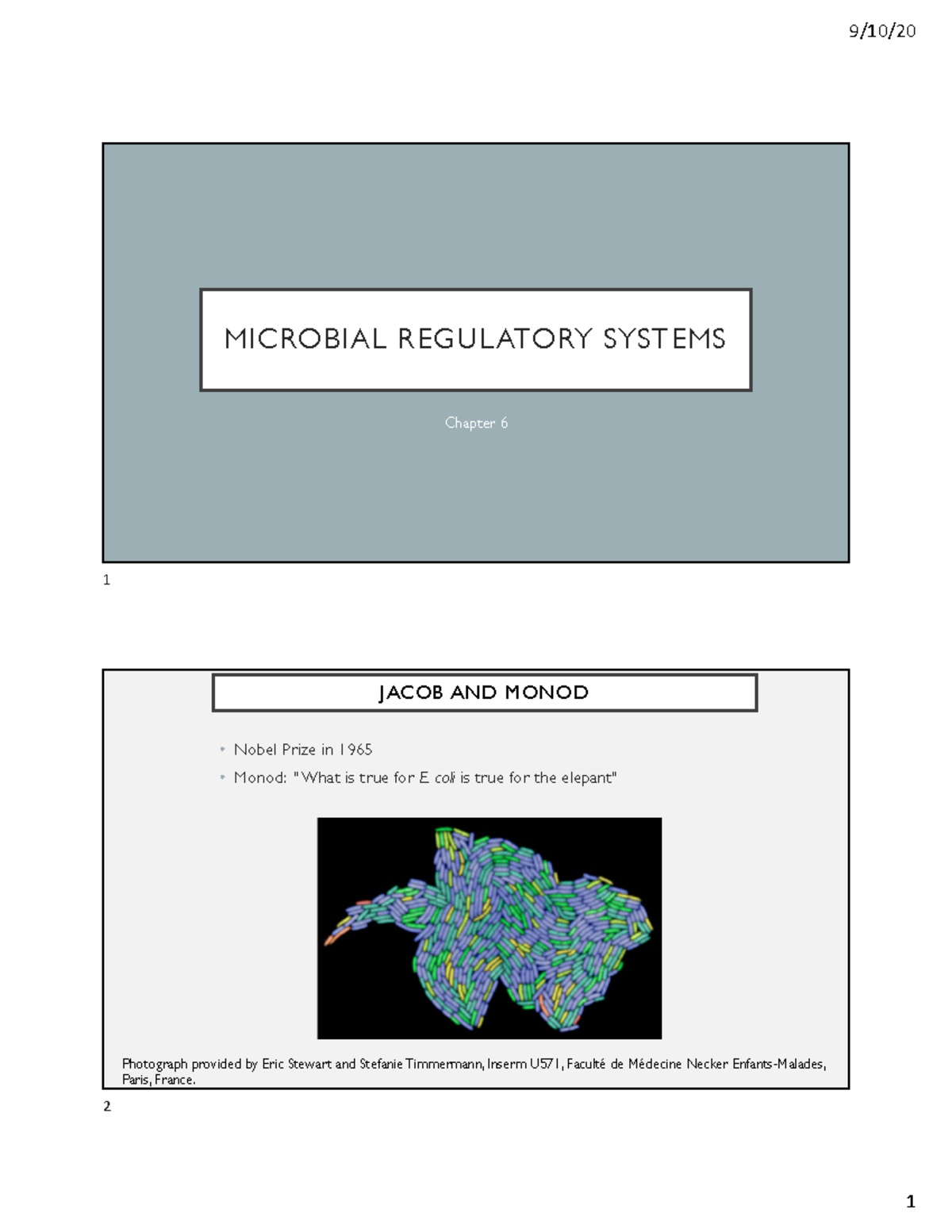 WEEK+5+lecture+slides - MICROBIAL REGULATORY SYSTEMS Chapter 6 1 JACOB ...