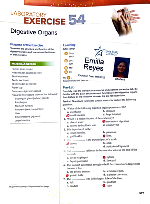 Lab 56 - Labs - LABORATORY ElcERclSE_ 56 - _ Metabolism ,, Purpo To d ...