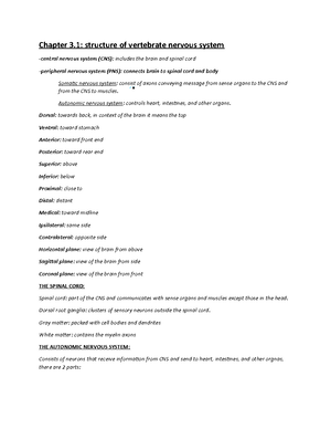 Chapter+2+Notes-Synapses - CHAPTER 2 SYNAPSES Chapter Outline I. The ...