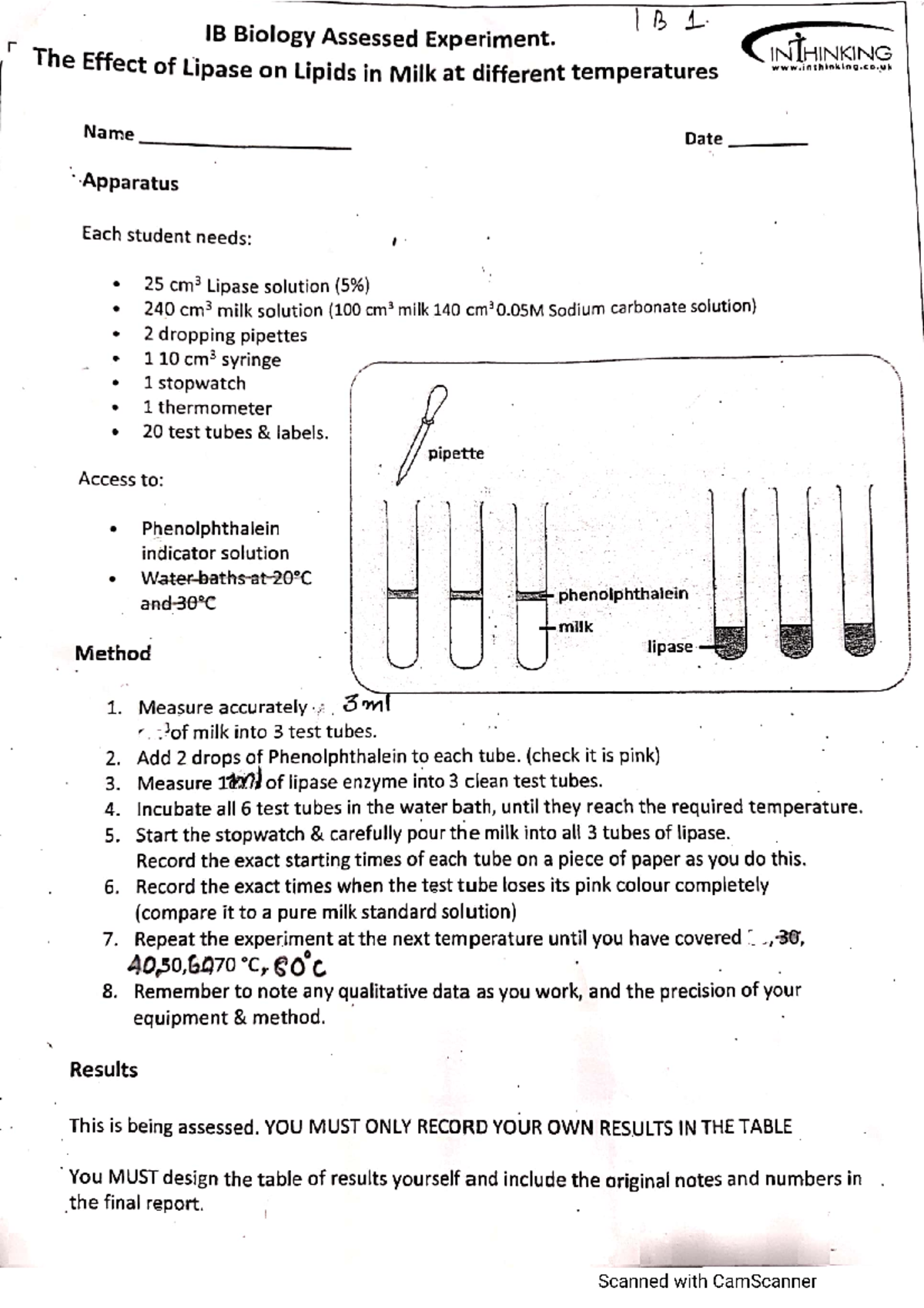 Effect of lipase BIOL 201 Studocu