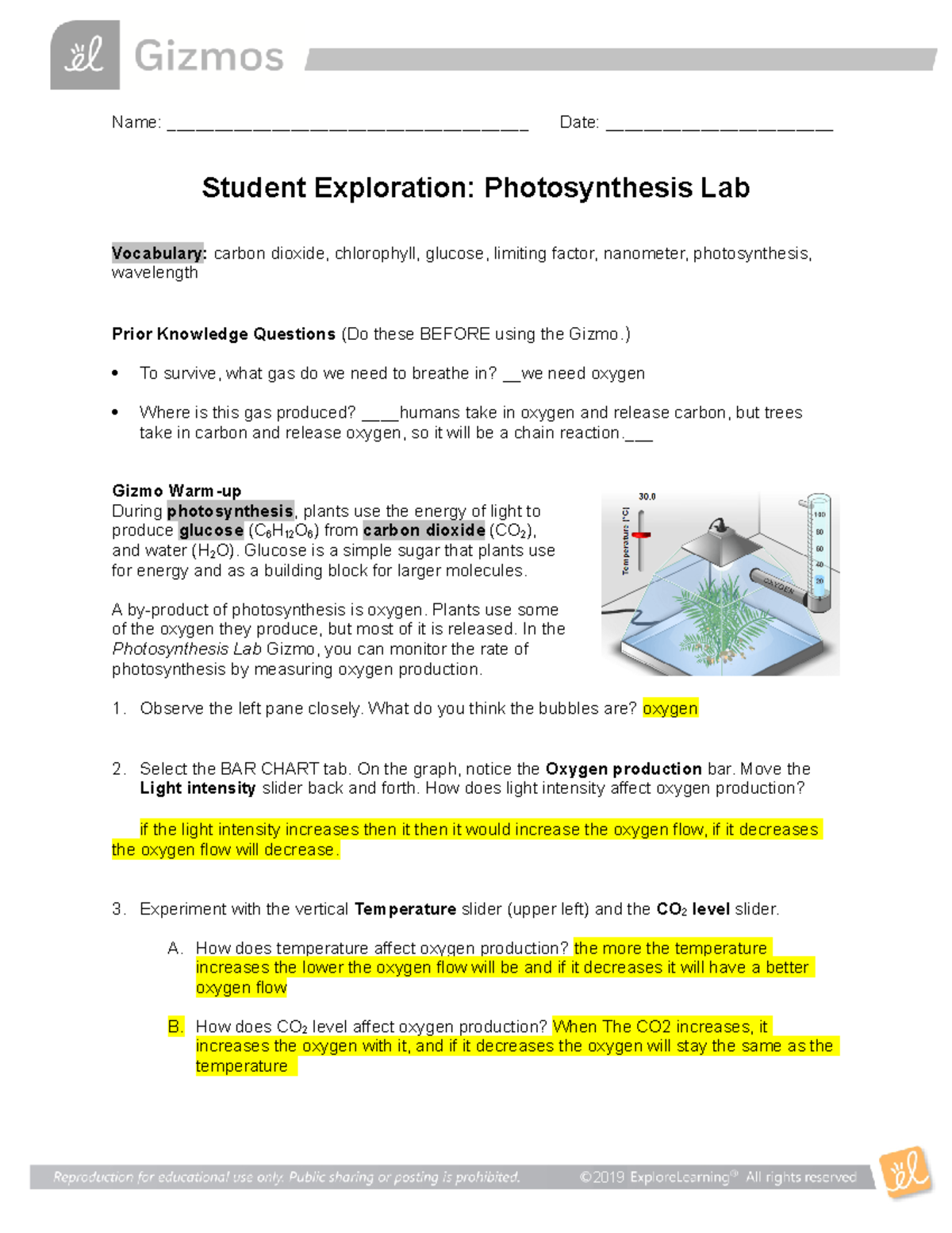 Photosynthesis Lab SE njhhj Name