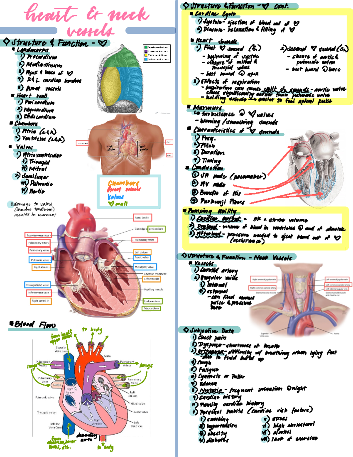 Exam 3 Study Guide - Structurehimation Cont . ####### threw & weeks ...