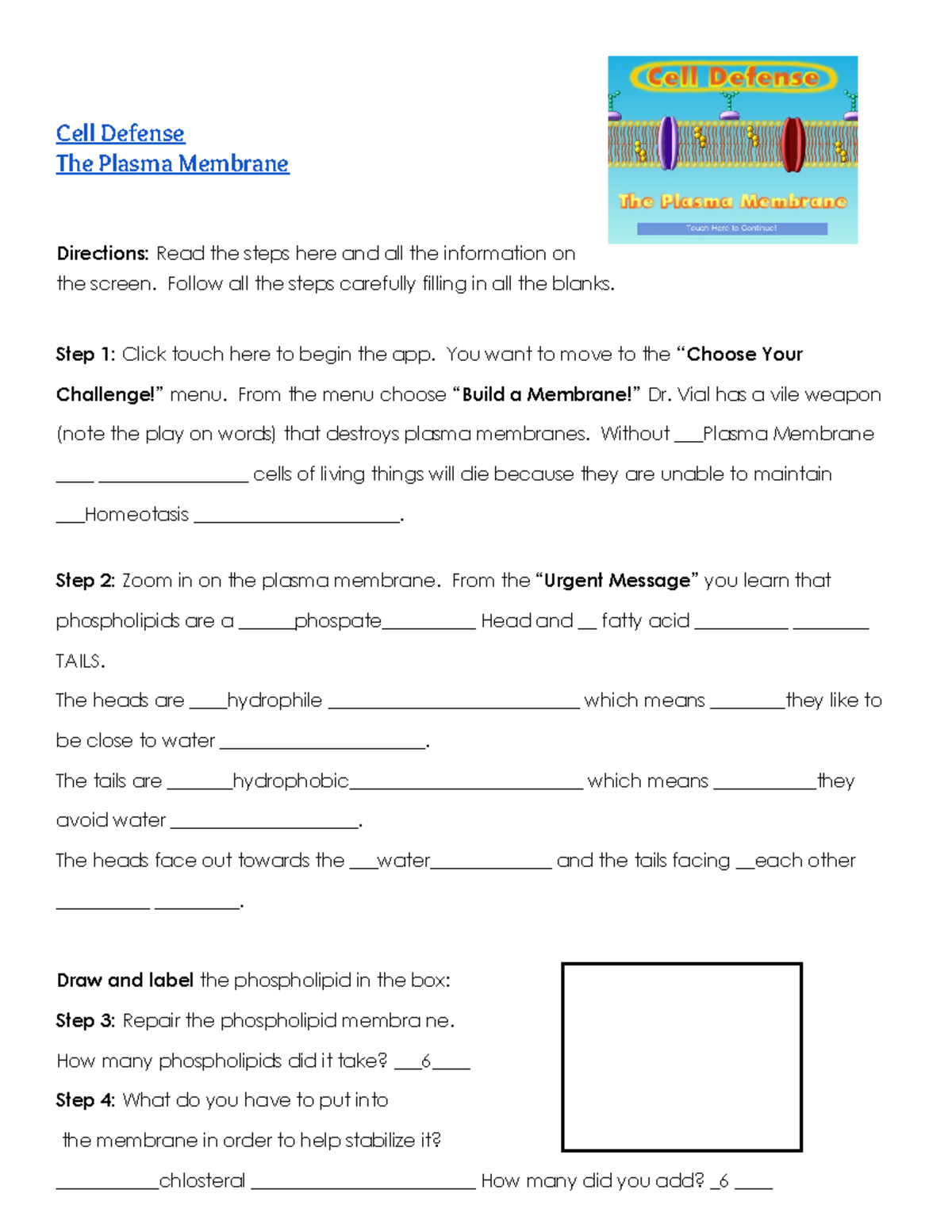 Ethan Buchanan Cell defense worksheet Cell Defense The Plasma Membrane Directions Read the