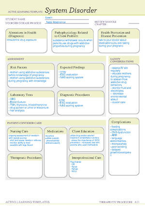 Sibling adaptation - ALT for ATI - MEPN531 - STUDENT NAME CONCEPT ...