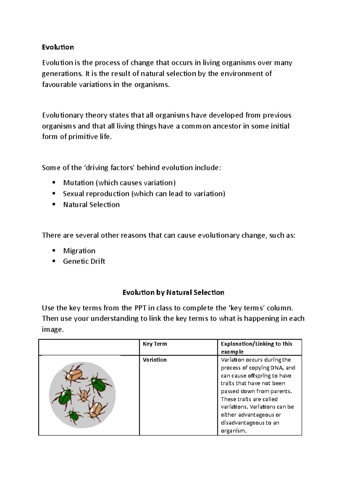 Evolution by Natural Selection worksheet - Evolution Evolution is the ...