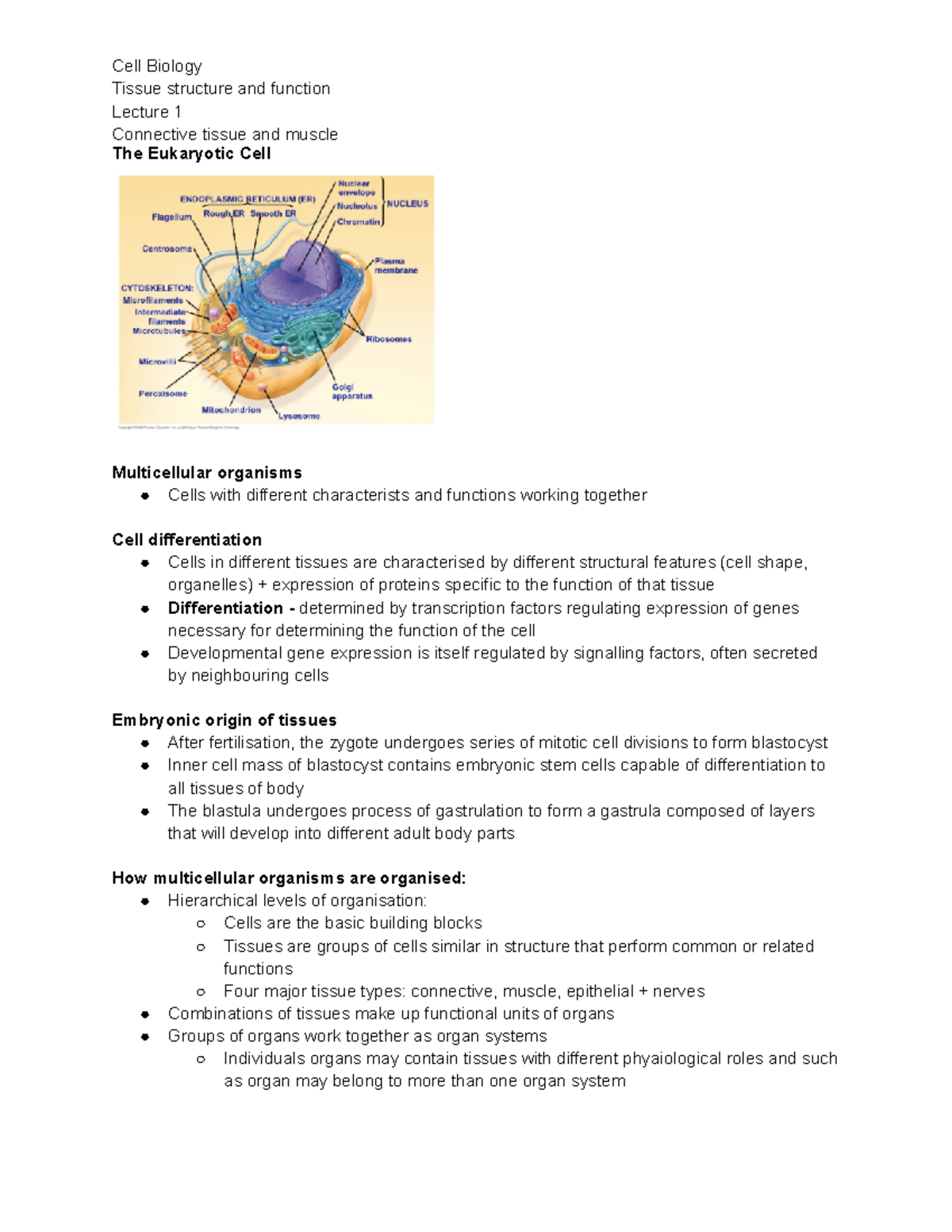 Lecture 8 Tissue Structure and Function - Tissue structure and function ...