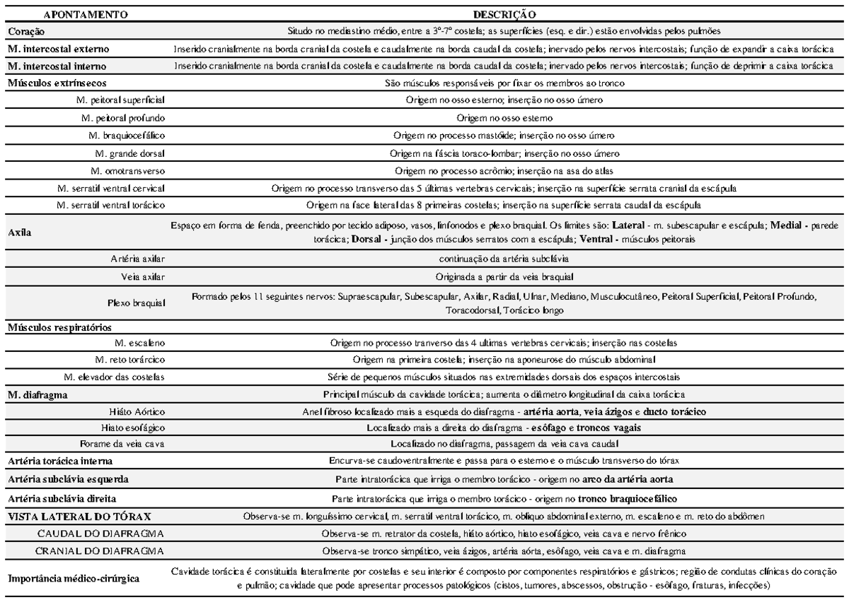 Morfofisiologia Iv Tabela De Apontamentos Do Torax Studocu