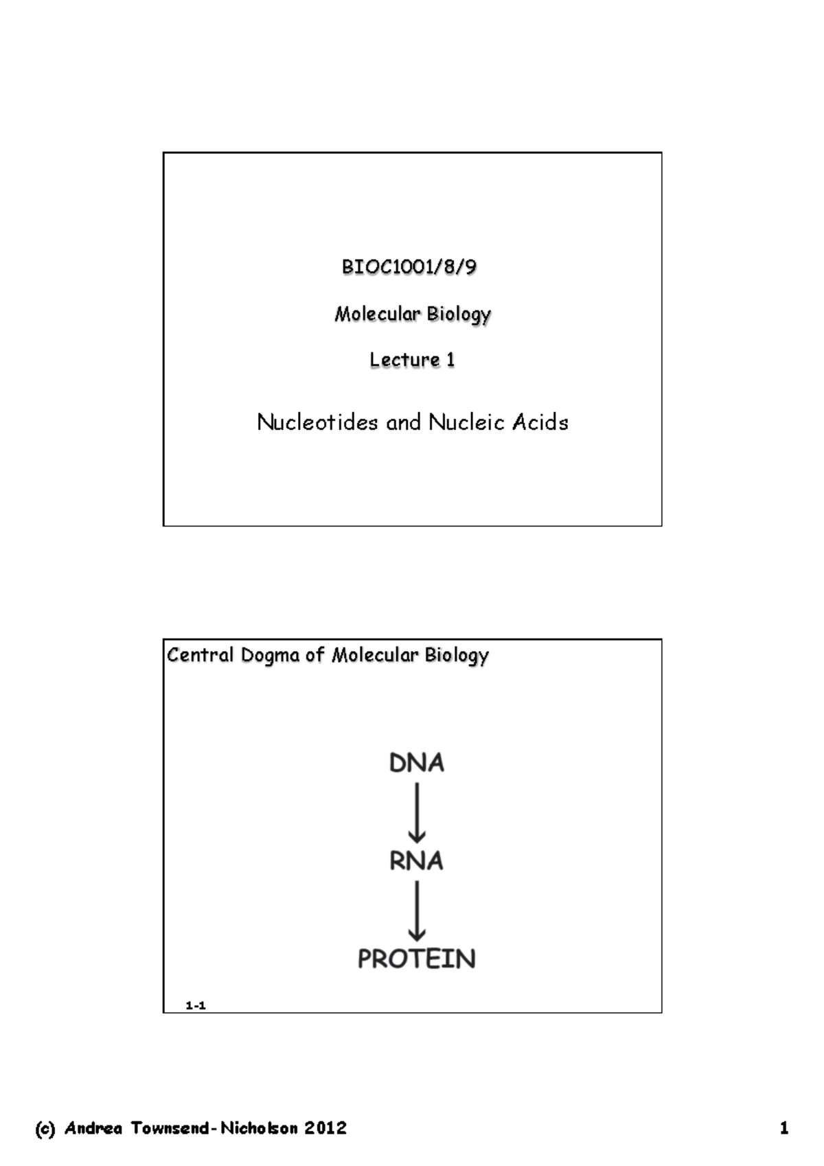 Lecture Slides, Lectures Molecular Biology 1-5 - Molecular Biology ...