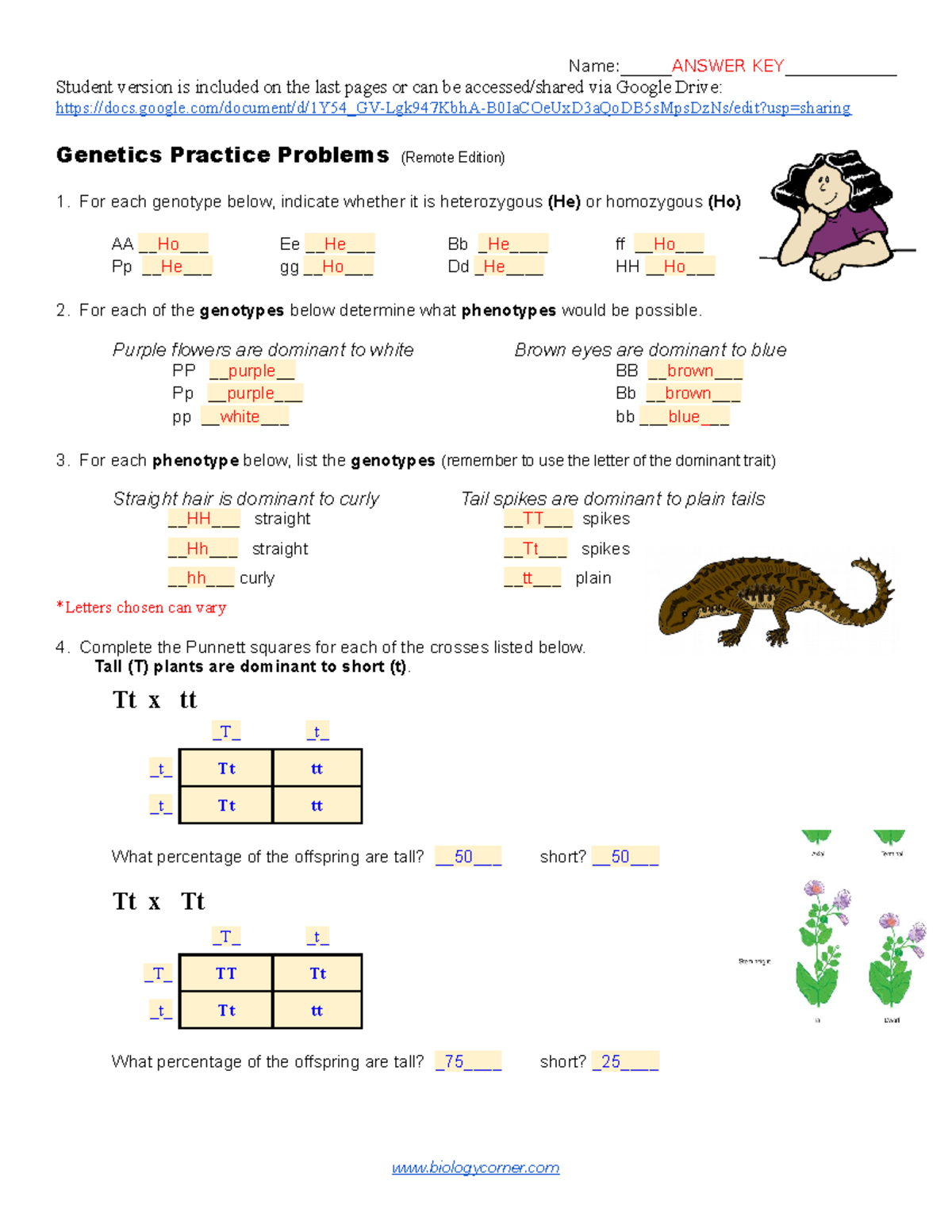 Simple Genetics Practice Remote Edition KEY-1 - Name:ANSWER KEY ...