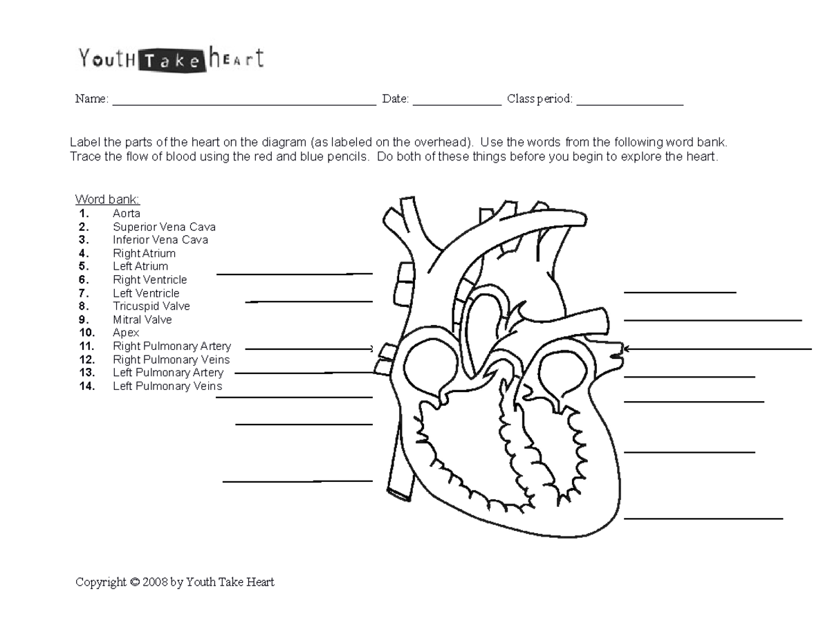 Label The Parts Of The Heart - Name ...