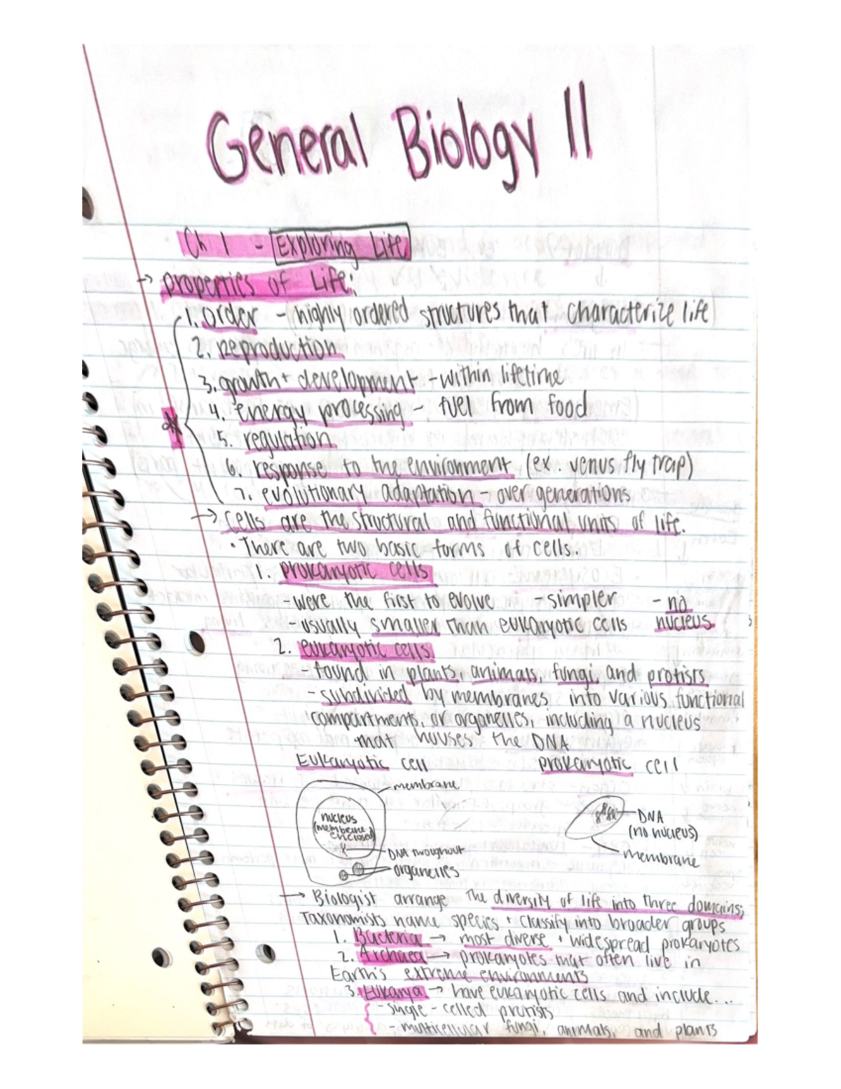Reading and Lecture Notes for Chapters 1-3 - cheney Afehine ee ...