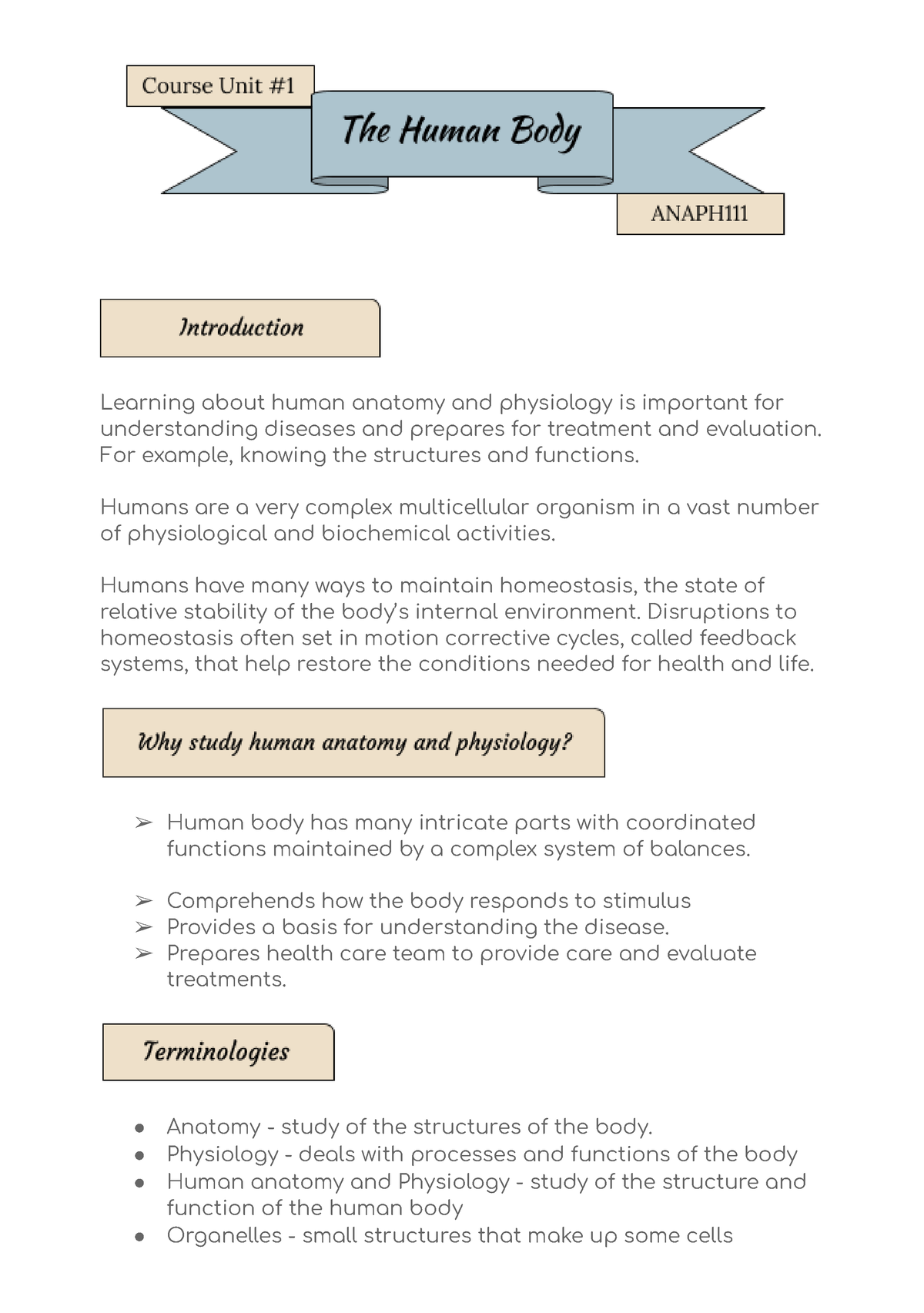 The Human Body - Anaphy Notes - Learning About Human Anatomy And ...