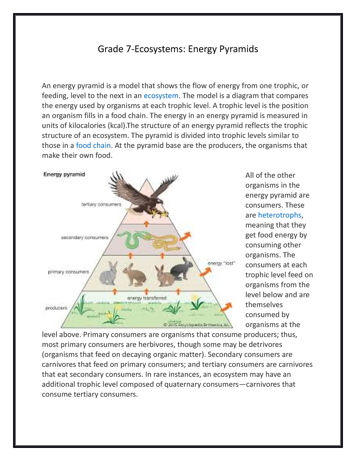 Gr. 7 Energy Pyramids reading comp. worksheet - Grade 7-Ecosystems ...