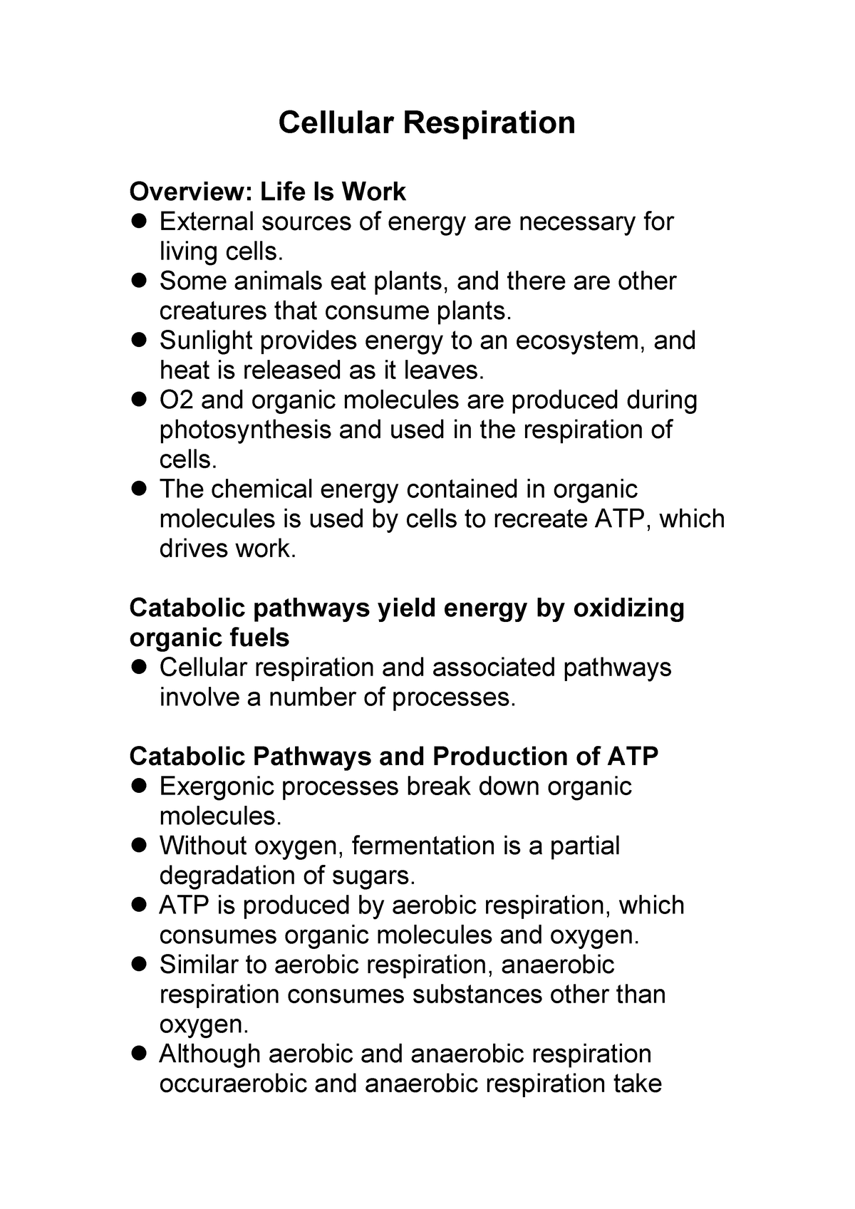 what is a cellular respiration essay