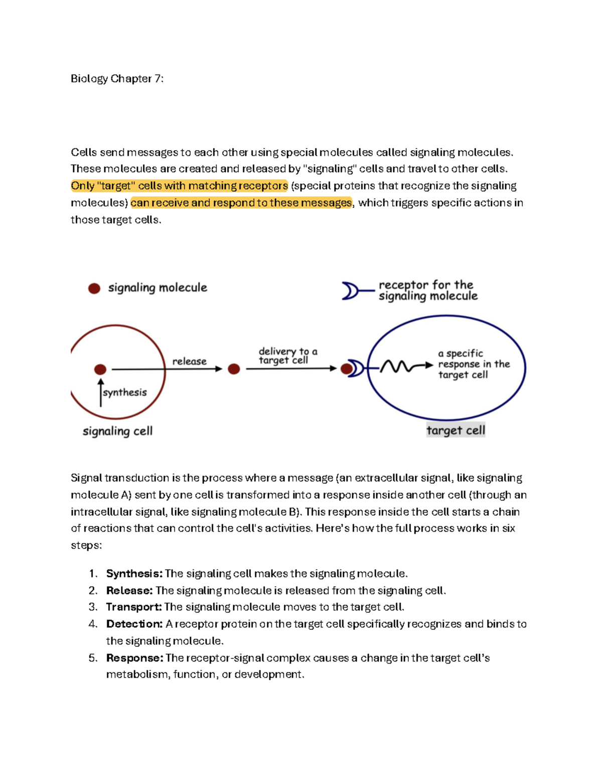 Biology Chapter 7 - notes - Biology Chapter 7: Cells send messages to ...