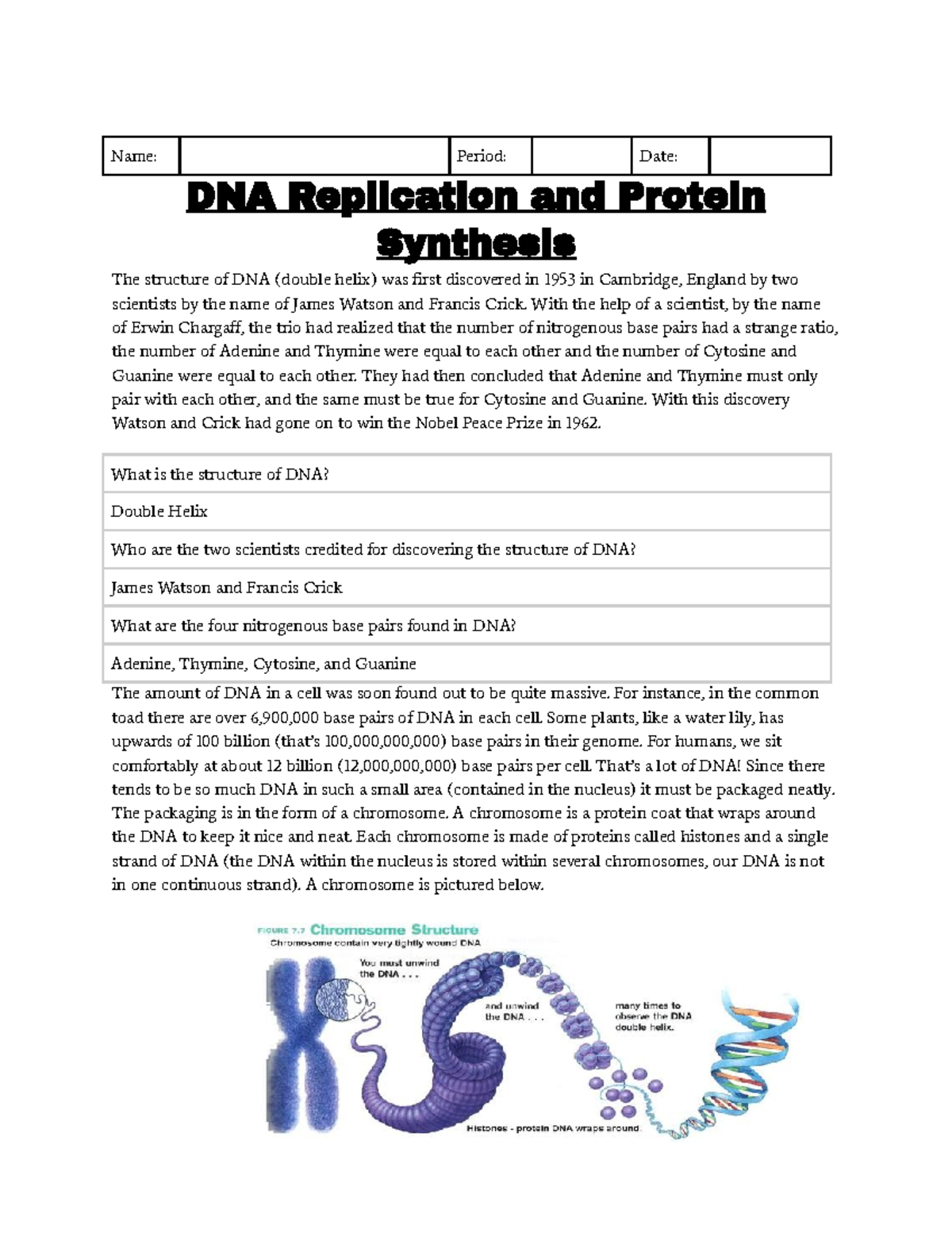 DNA Replication - Name: Period: Date: DNA Replication and Protein ...