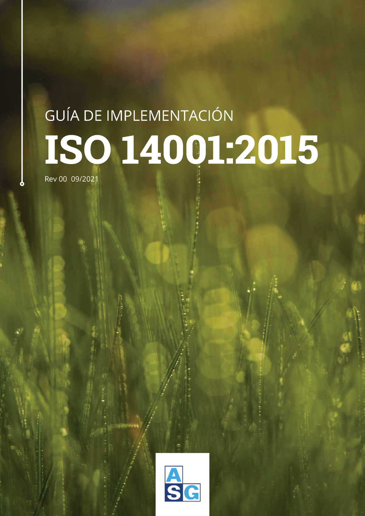 Norma ISO 14001 - GUÍA DE Implementación - GUÍA DE IMPLEMENTACIÓN ISO ...