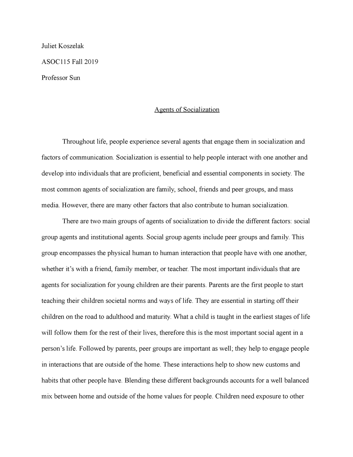 essay about agents of socialization
