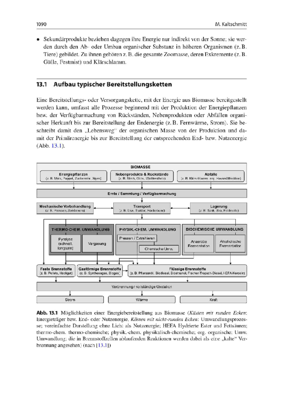 Energetische Nutzung Von Biomasse-2 - Management Regenerativer ...