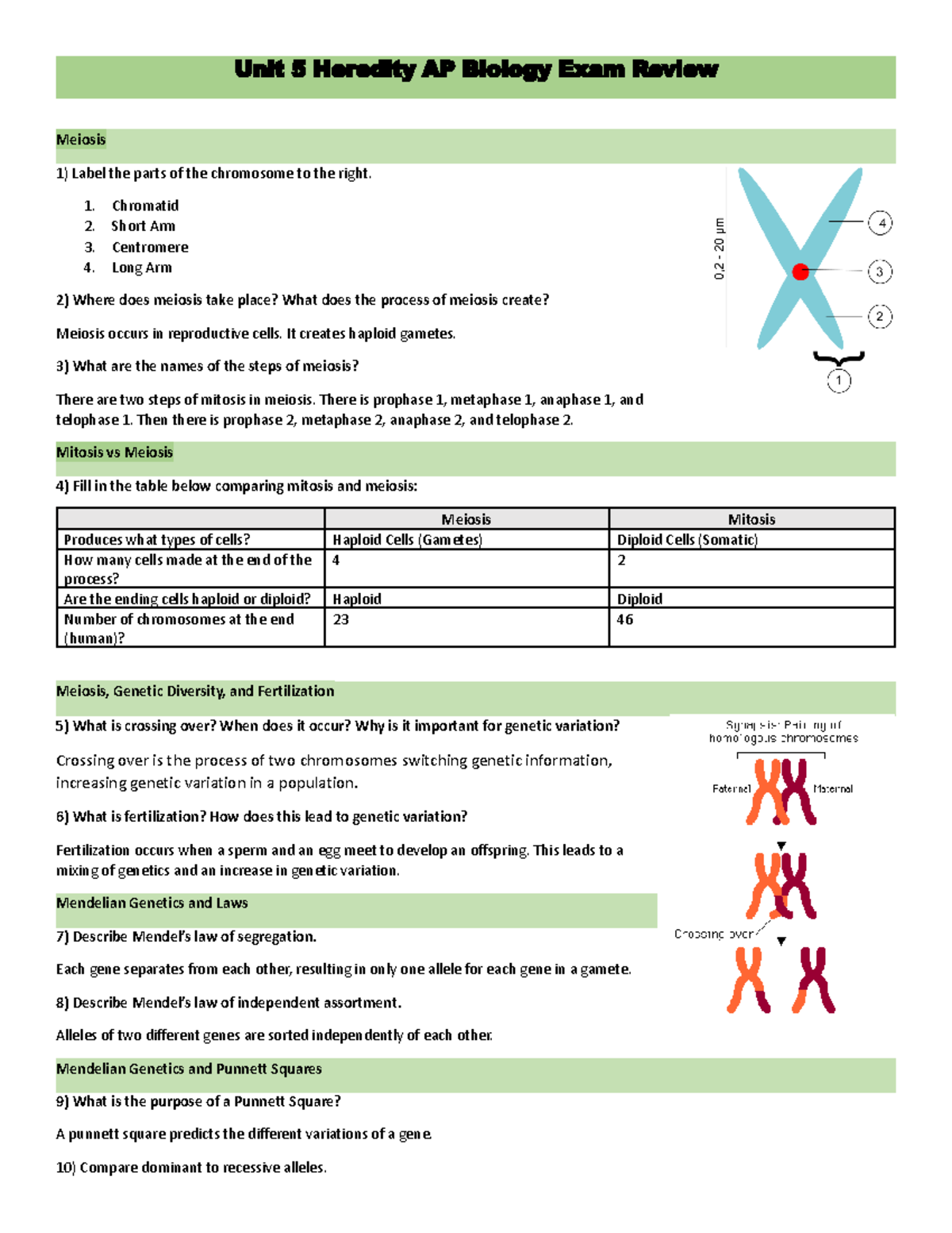 Fiveable Ap Bio Unit 5 - vfqdj4n