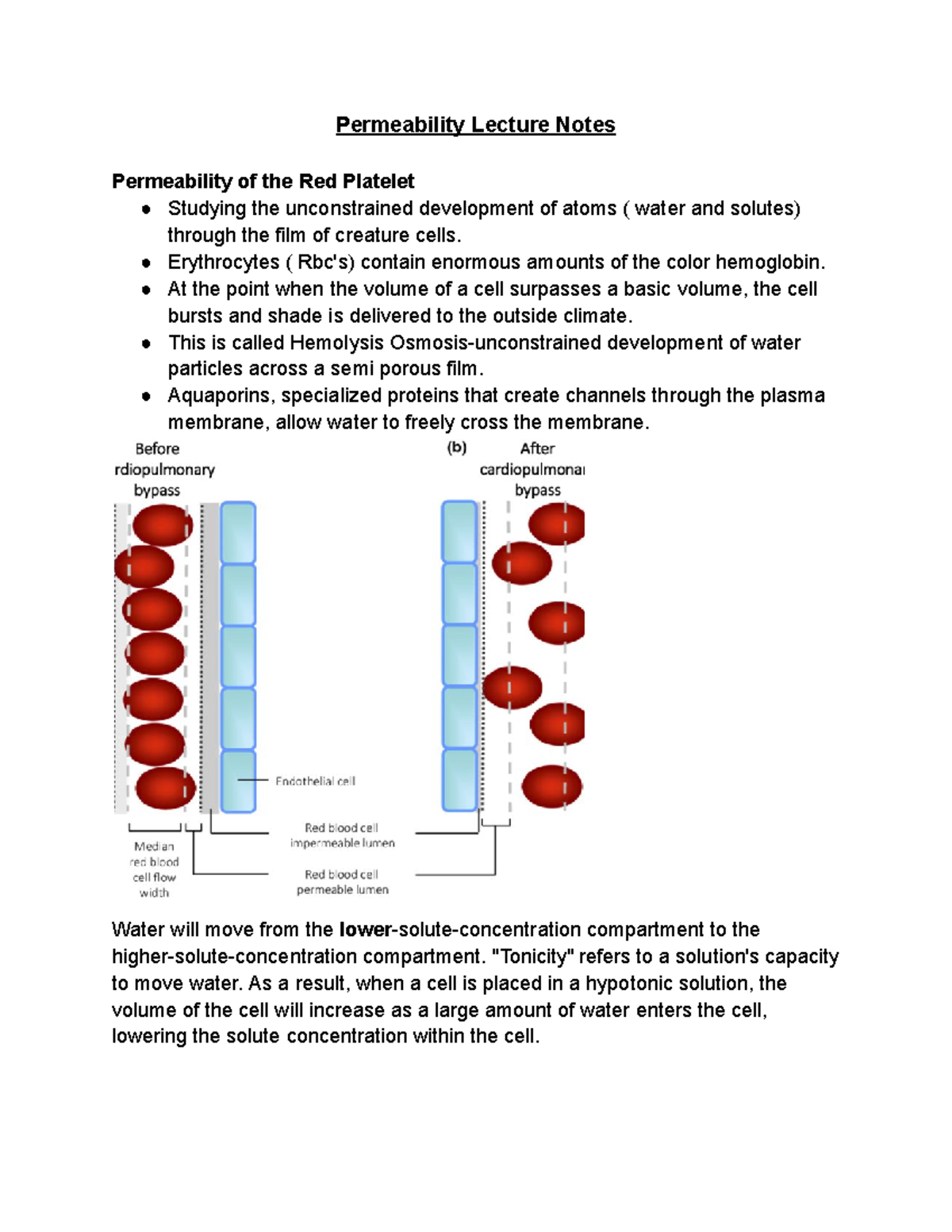 Permeability Lecture Notes - Permeability Lecture Notes Permeability of ...