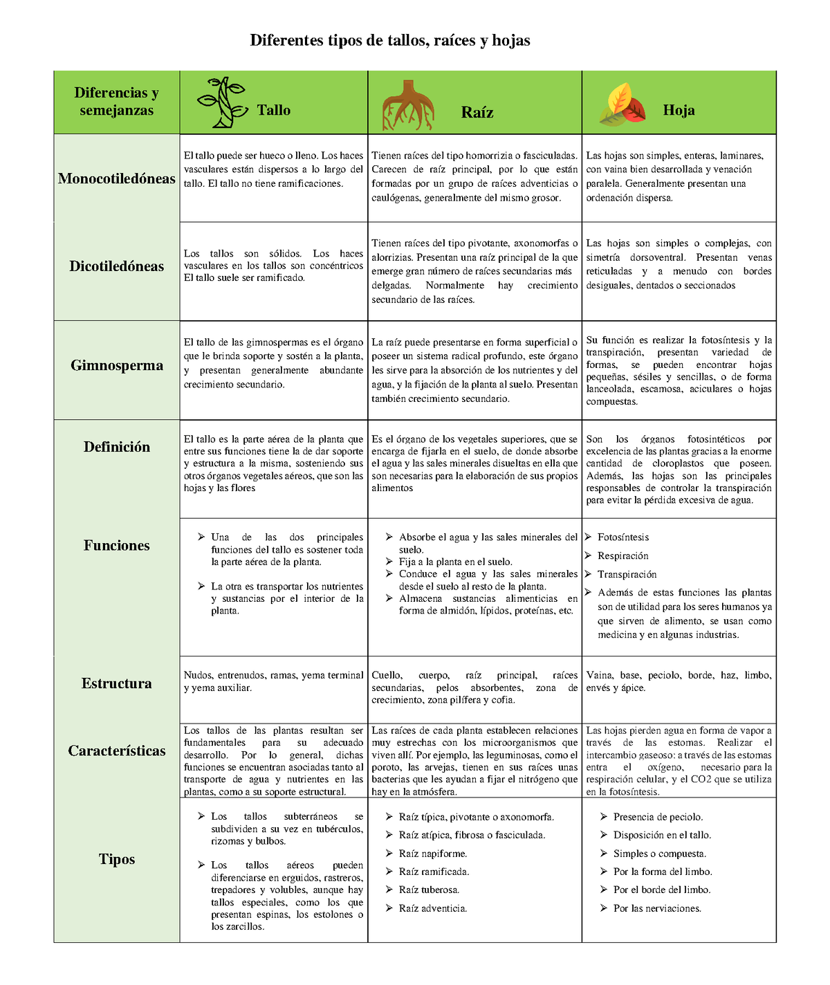 Cuadro comparativo de botanica - Diferencias y semejanzas Tallo Raíz