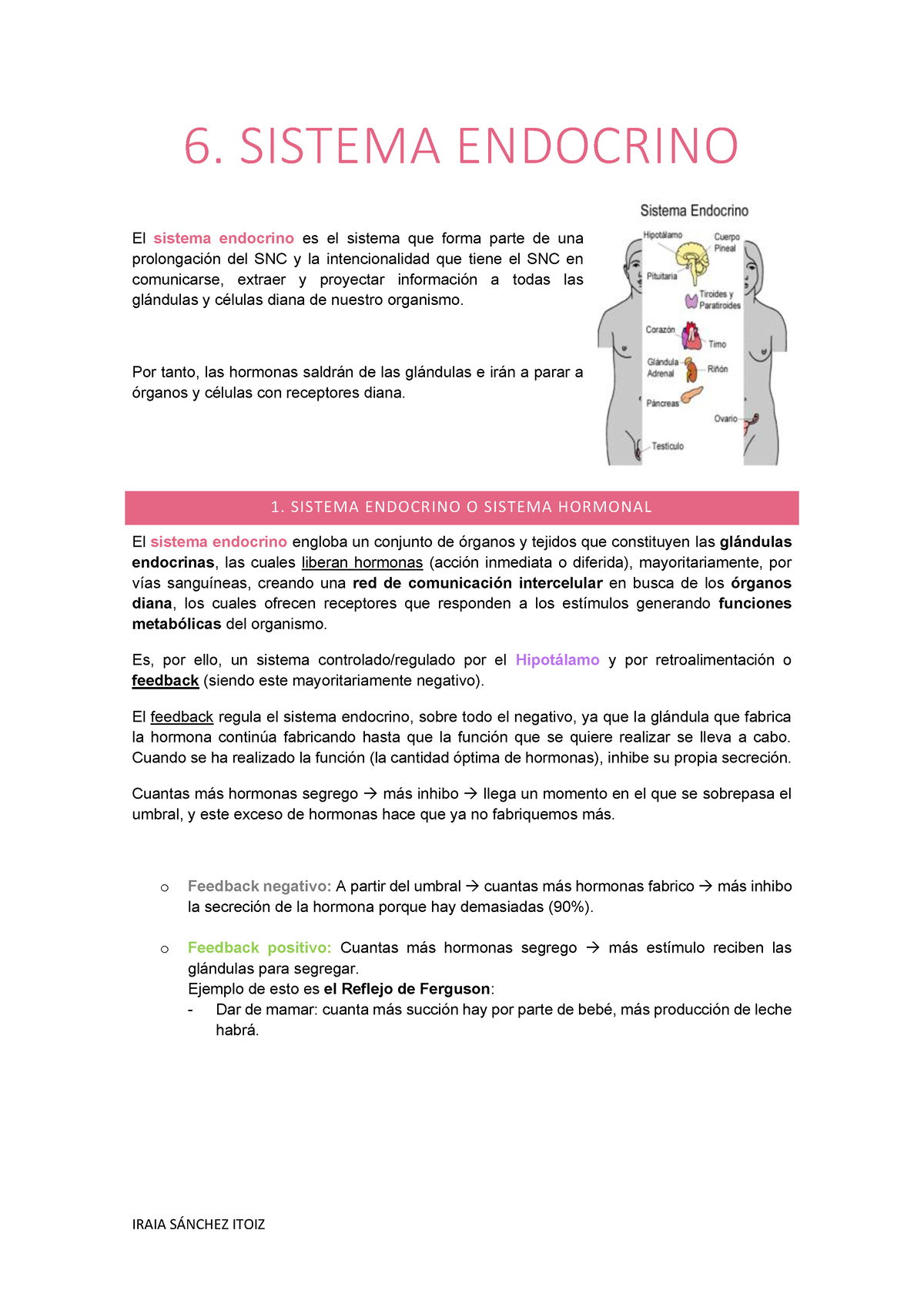 Tema Sistema Endocrino Iraia S Nchez Sistema Endocrino El