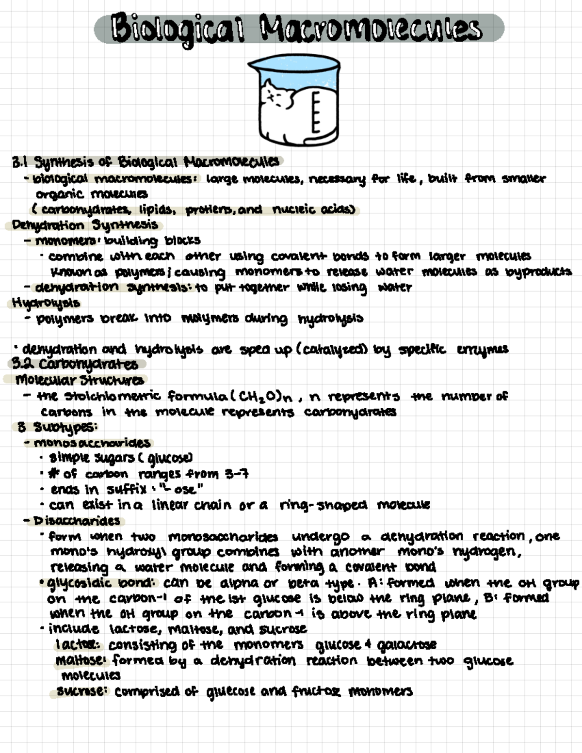 Biochemistry ch 3 notes BIOLOGICAN MACNDMONDCMS 3 Synthesis of