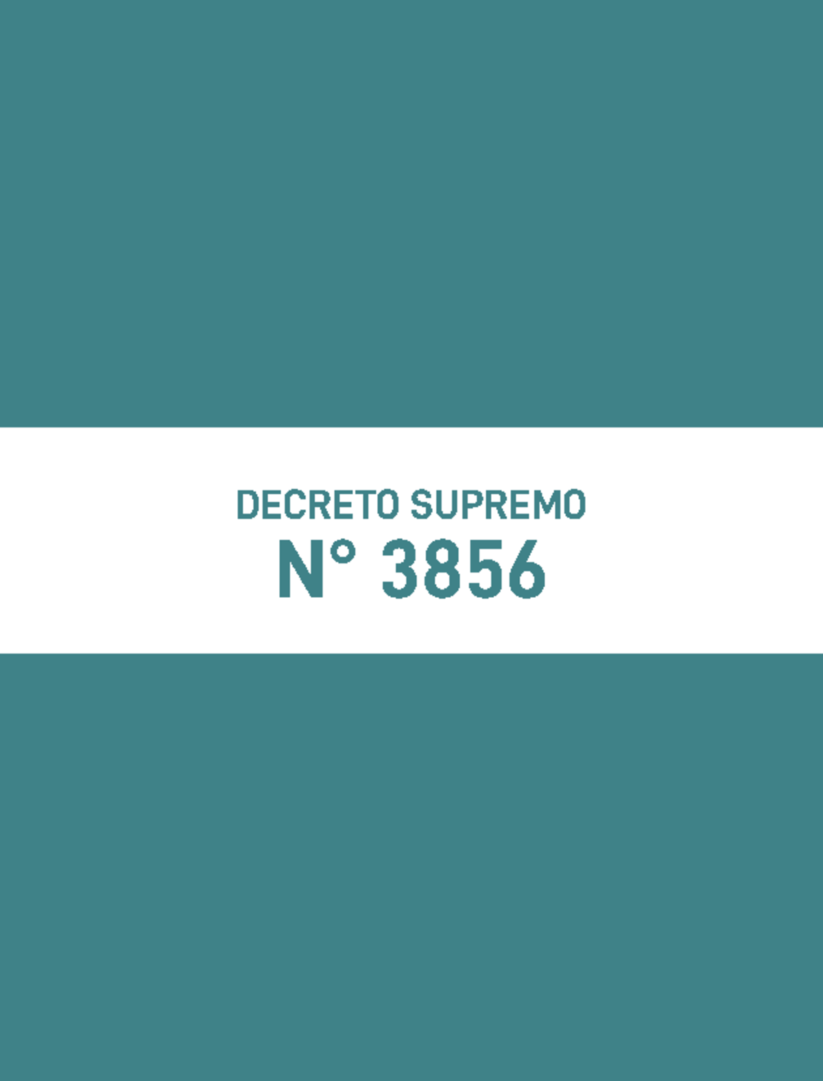 DS 3856 - Decreto - N° 3856 DECRETO SUPREMO “ARTÍCULO 17.- I. La ...