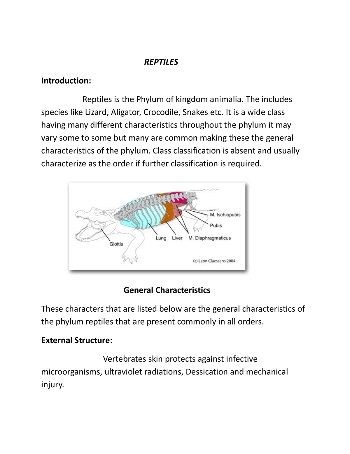 assignment on zoology