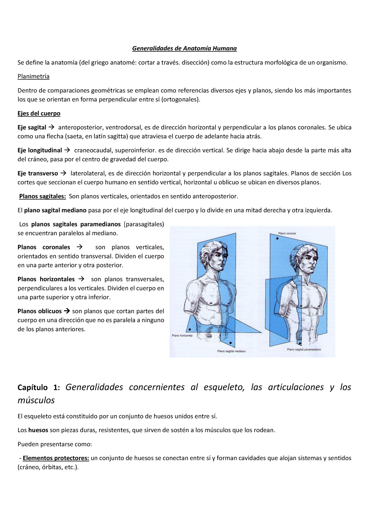 eje longitudinal del cuerpo